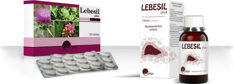 LEBESIL